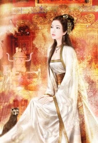 三妻四妾(总攻)